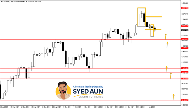 Weekly Market Update: BTCUSD, GOLD & CRUDE OIL – Nov 4TH, 2024